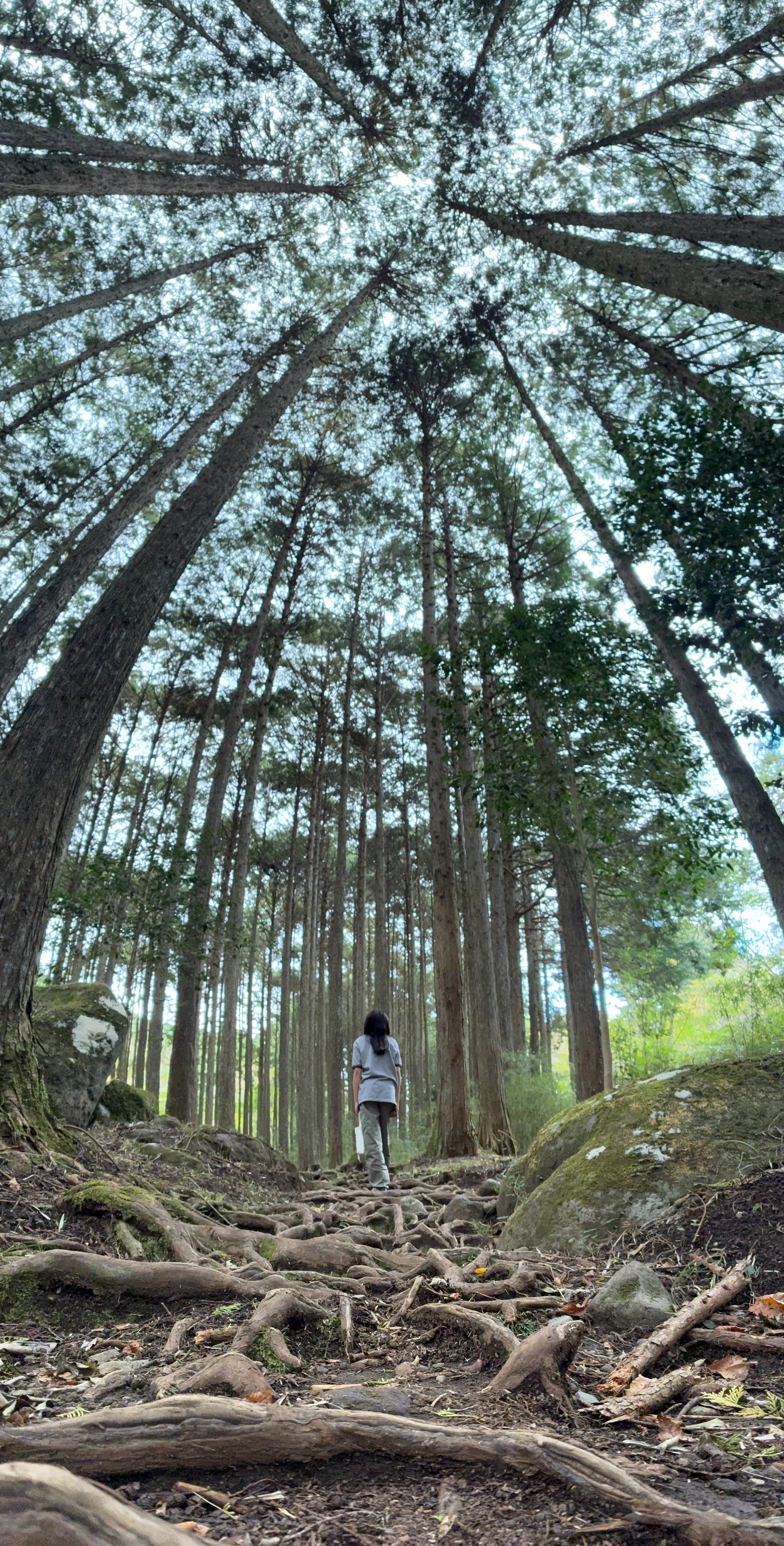 地球と心が呼応する瞬間 ～ウェルビーイングを感じるDeep Time Walkの