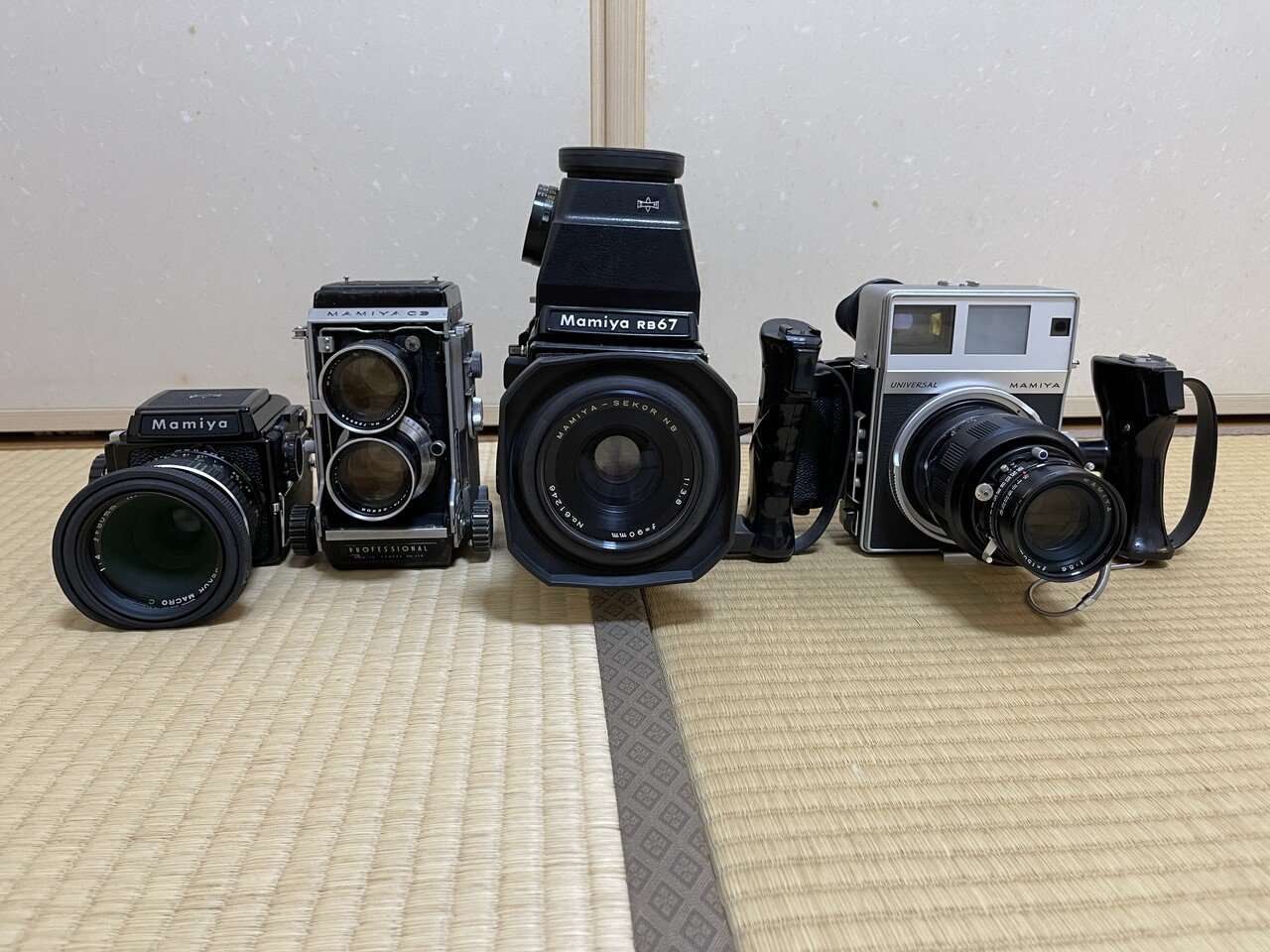 中判のカメラを使ってみて｜怪力熊男