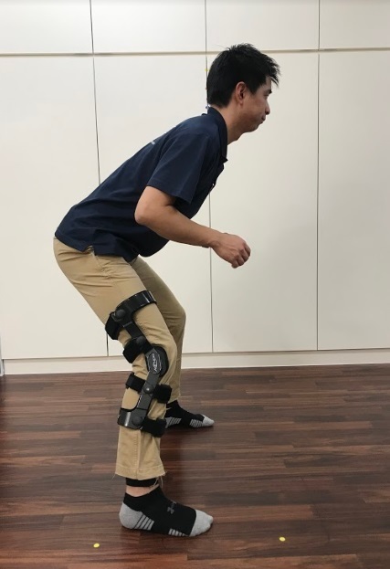 前十字靭帯損傷（術後リハビリテーション） | AR-Ex Medical Group