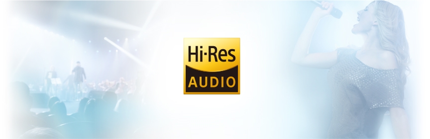 Clarionクラリオン | ZH700FF