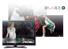 ZG1/TOP｜テレビ｜REGZA：東芝