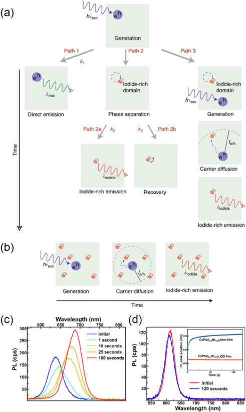 Elemental segregation and dimensional separation in halide