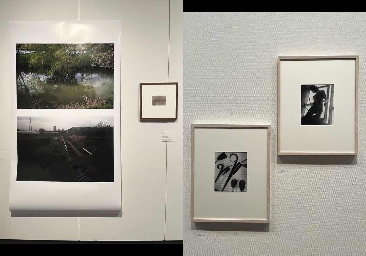 レポート】「オランダ×千葉 撮る、物語る ―サラ・ファン・ライ