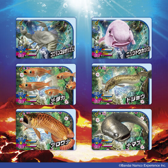 バンダイ 商品・サービスサイト | カードダス 釣りスピリッツ ワンダー