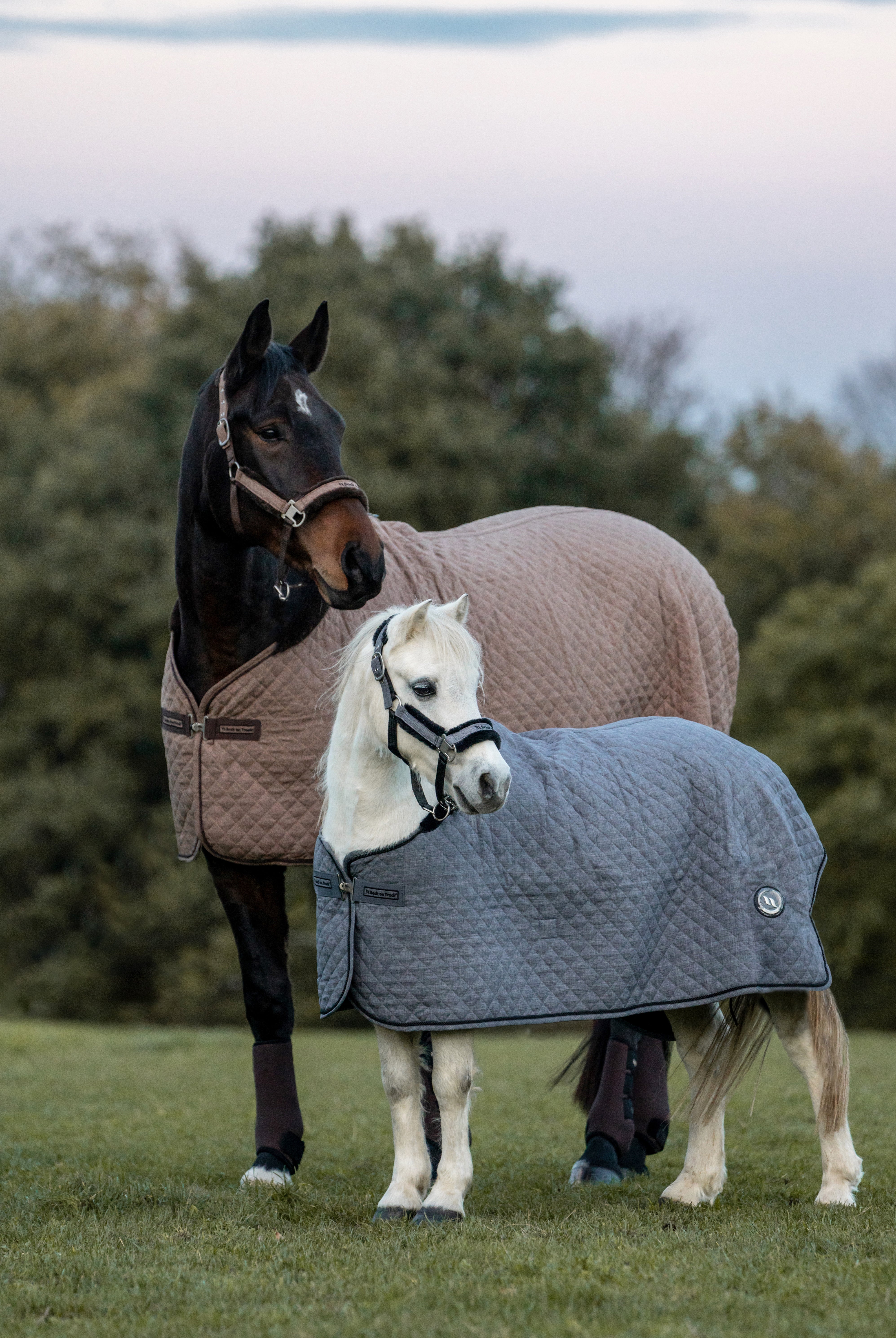 Haze Collection Horse Show Quilt Cooler | Horse Blanket | Back on
