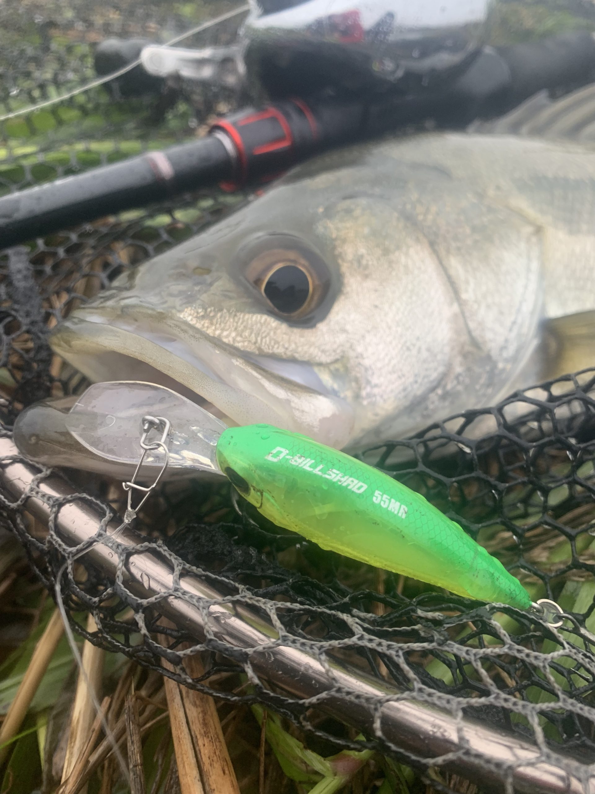 シマノ】旧ゾディアス166ML-G 初心者にオススメ巻物ロッドはコレ