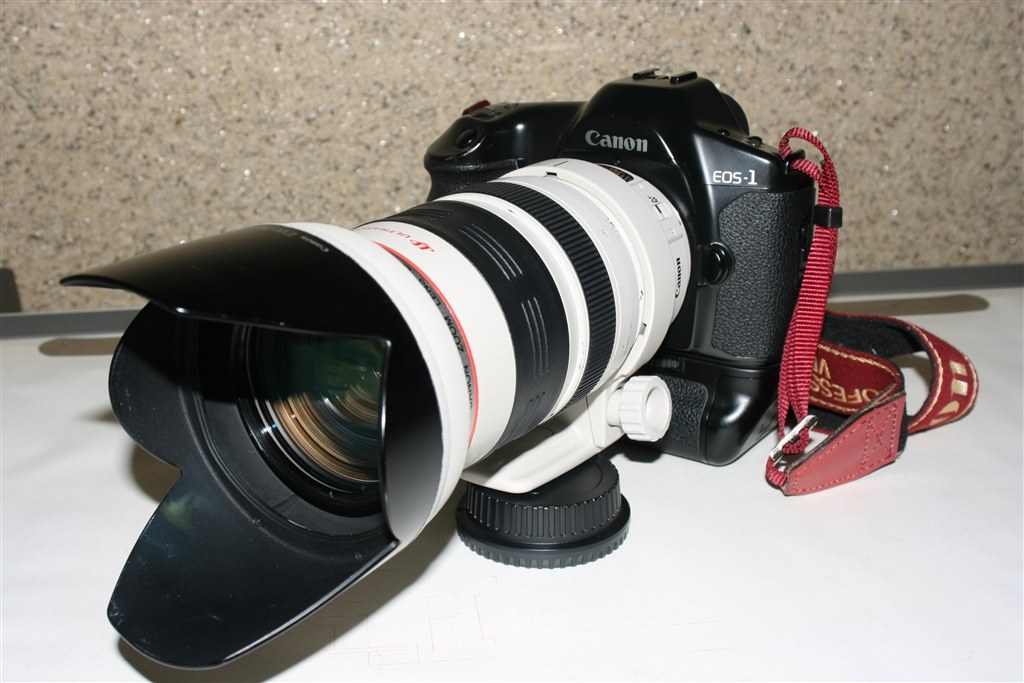 慣れると面白いレンズですよ！』 CANON EF35-350mm F3.5-5.6L USM の