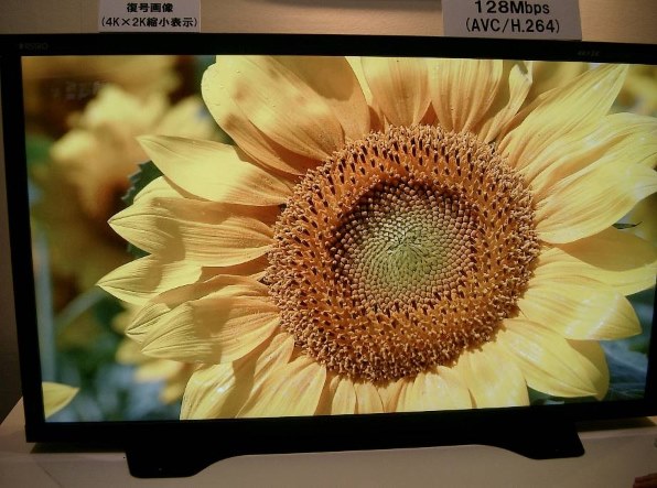 SONY KV-28DA55 (28)投稿画像・動画 - 価格.com