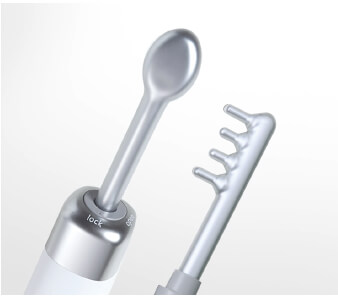 サキナ Corebelle｜フヨウサキナ