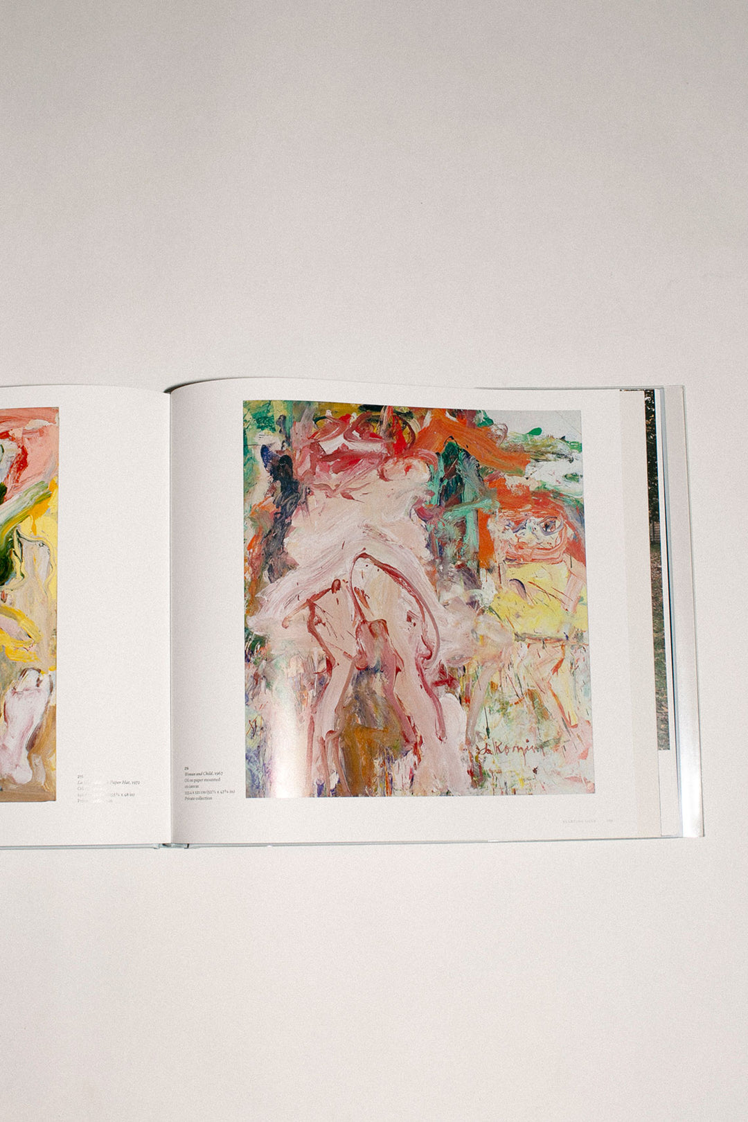 Phaidon Books - A Way of Living The Art of Willem de Kooning