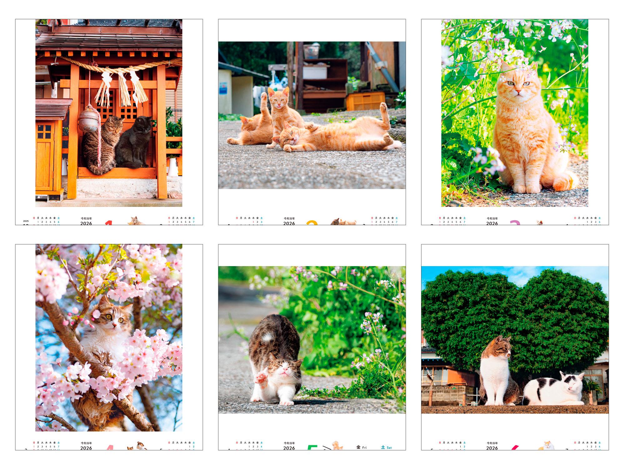 のんびり島にゃんCALENDAR 2026 - インプレスブックス