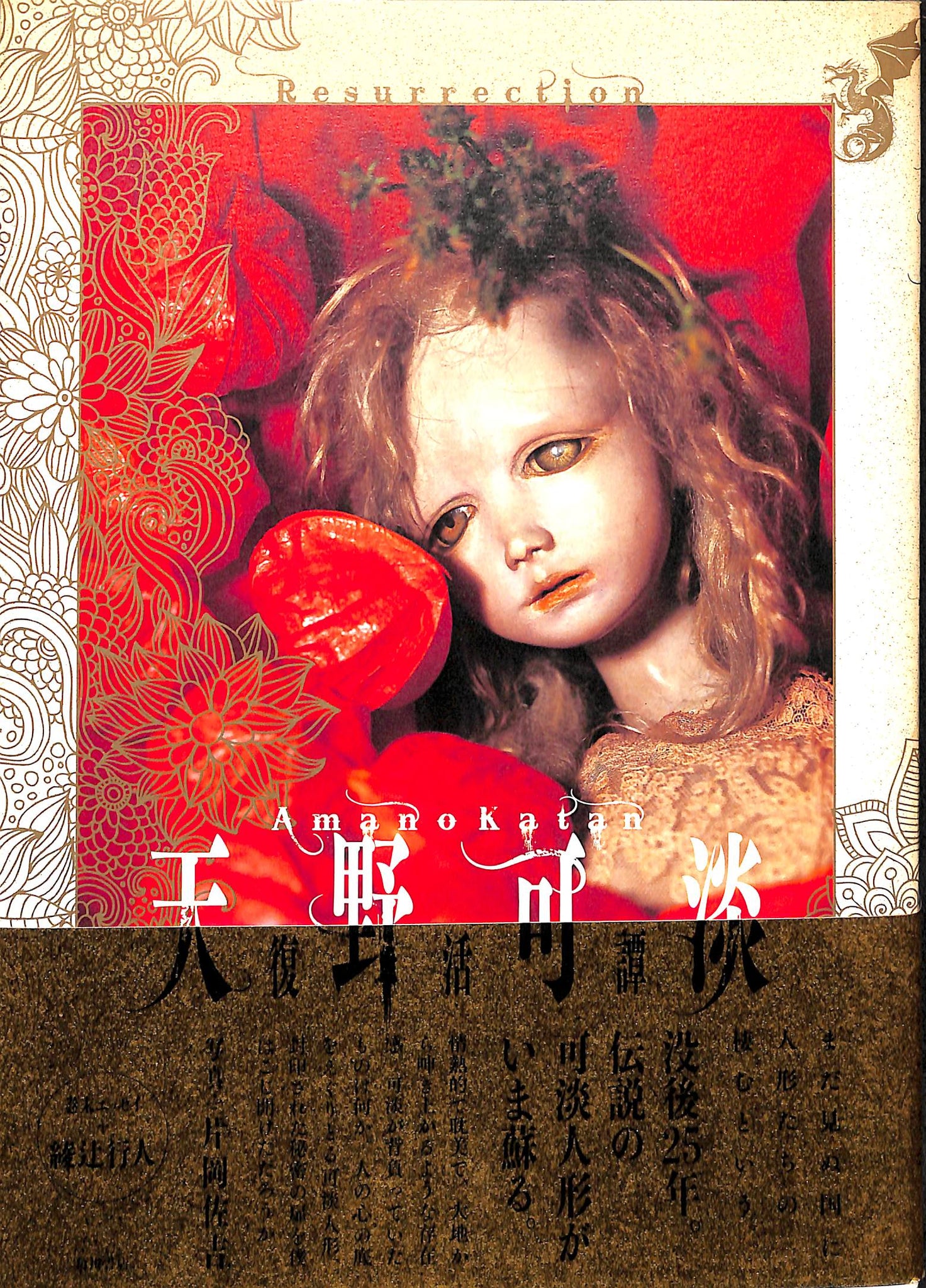 天野可淡 復活譚 Amano Katan (写真)片岡佐吉 (巻末エッセイ)綾辻行人