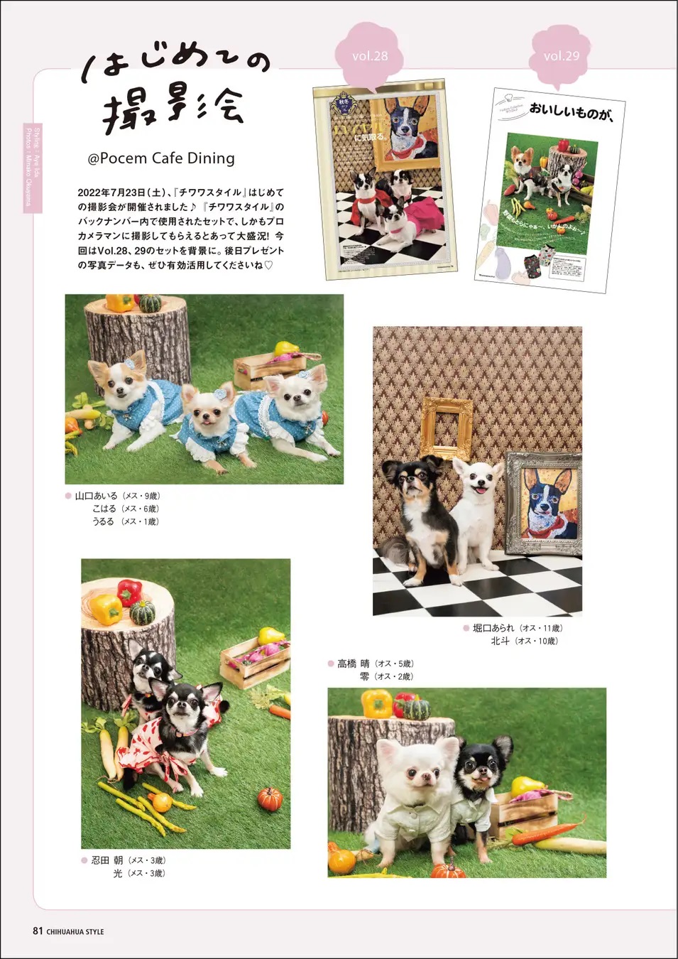 チワワにとって快適な家とは？ 『『チワワstyle』Vol.32』 | BOOKウォッチ