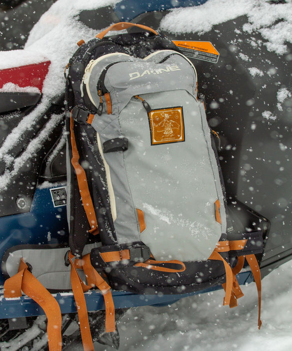 SALE】DAKINE TEAM POACHER BACKPACK 22L RED GERARD バックパック