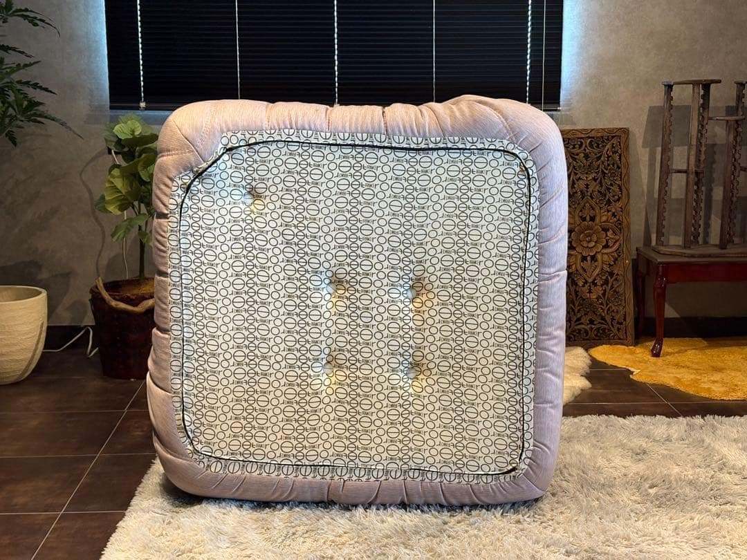 リーンロゼ ligne roset コーナーソファ モダン ヴィンテージ HGZ