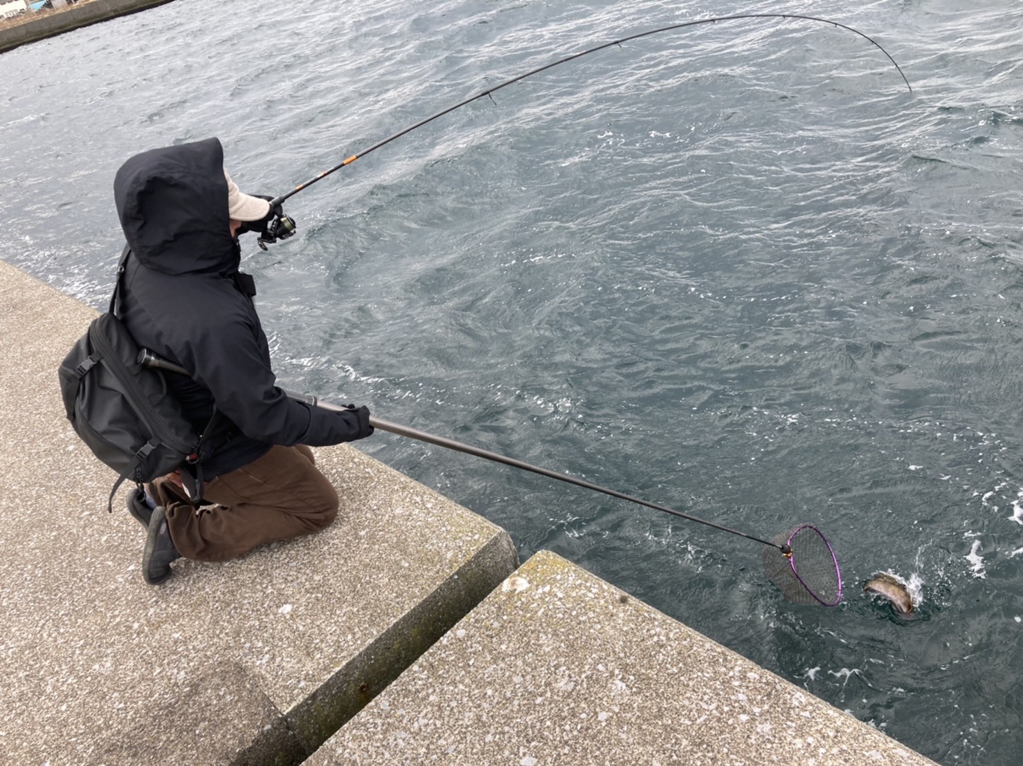 アピアスタッフブログ】 LONG EXPRESS 2の可能性