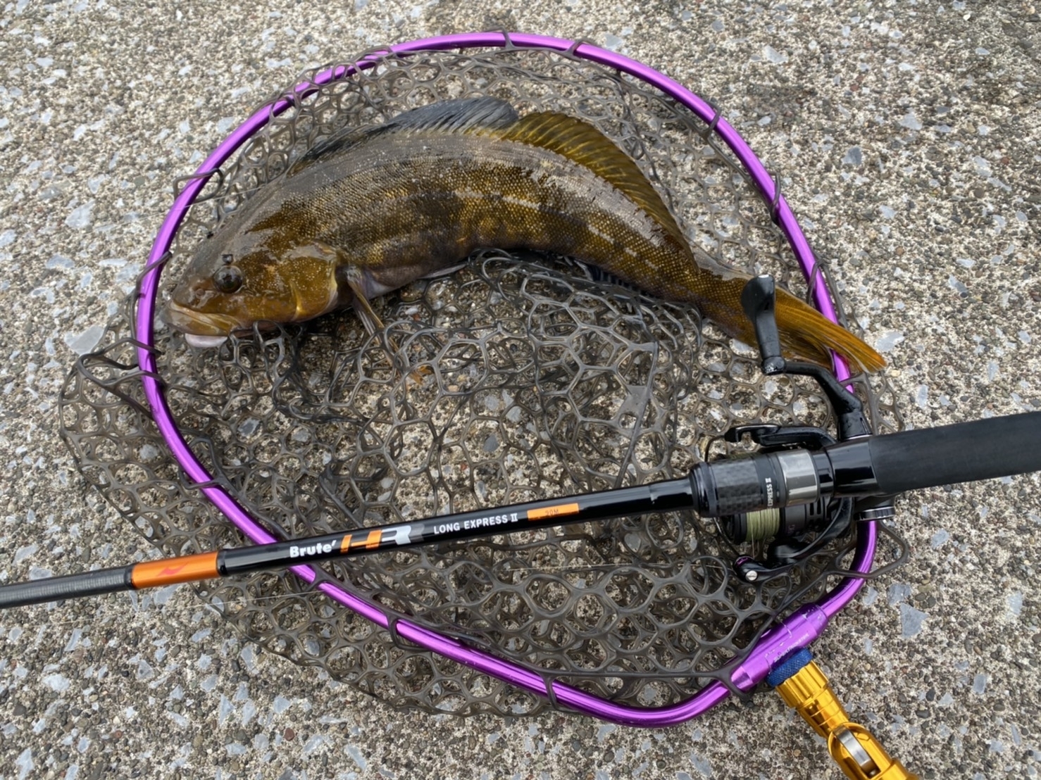 アピアスタッフブログ】 LONG EXPRESS 2の可能性