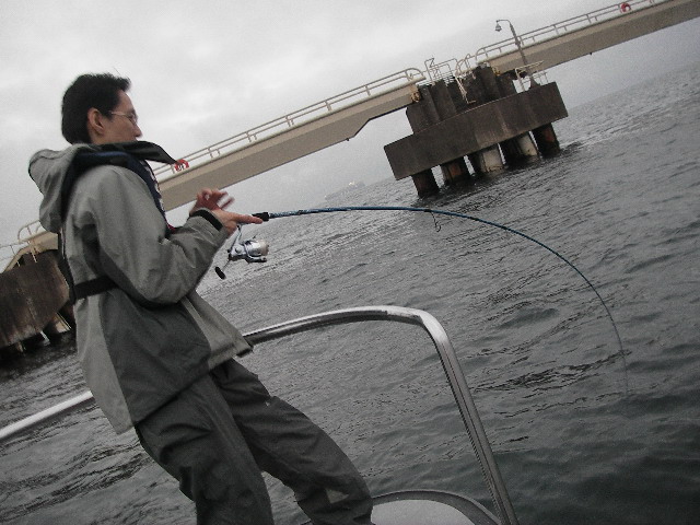 テーパーアンドシェイプ グラスウェイ ナモト：GNAS-70LLS