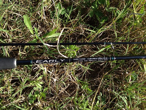 インプレ アーリー710FSF - VERY STORMY