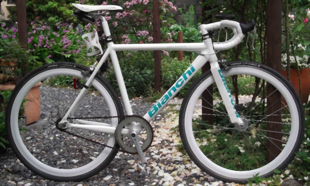 マイバイク紹介 その1 ( Bianchi Pista Dalmine, 愛称：ダルミネン