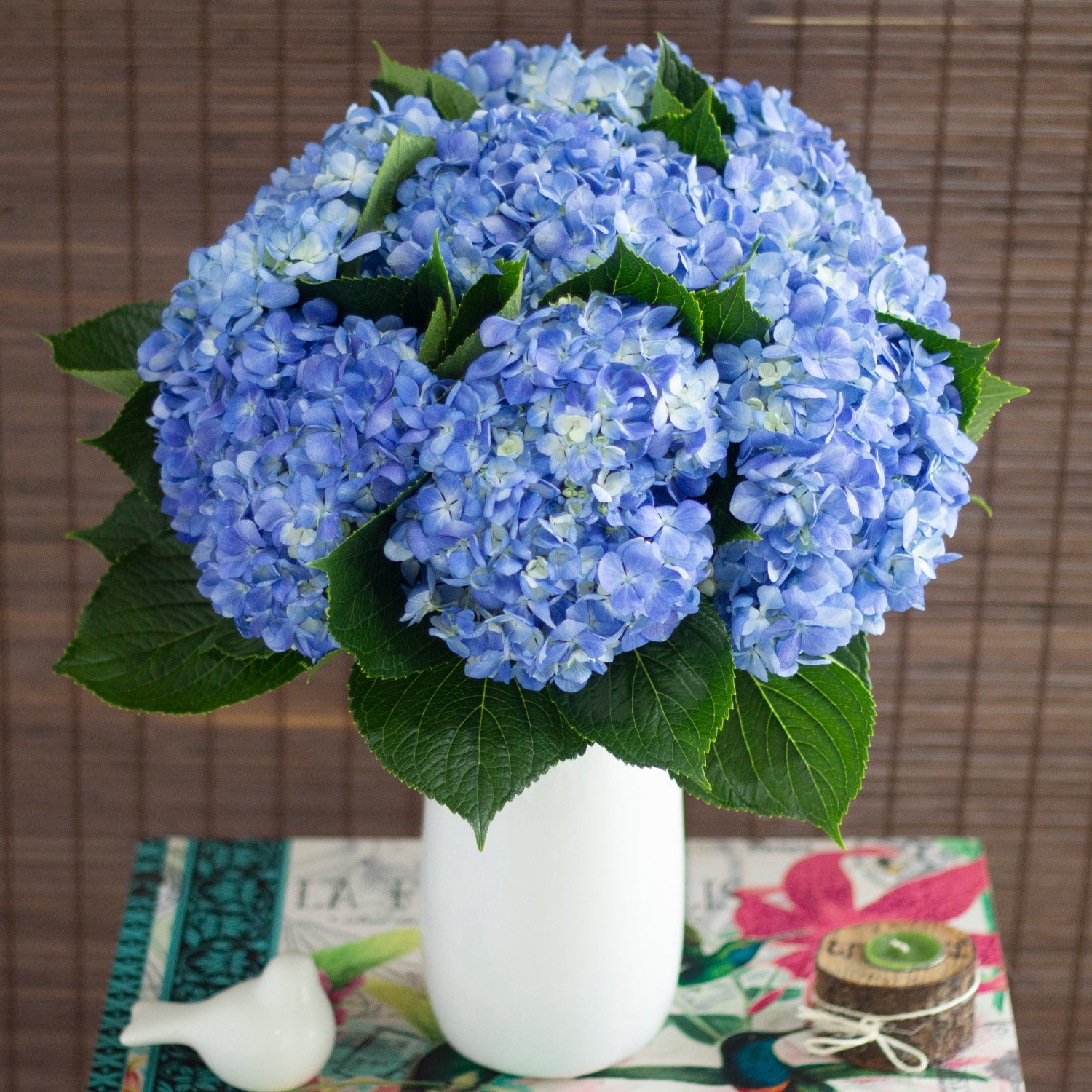 Shocking_Blue_Hydrangeas_Bloom
