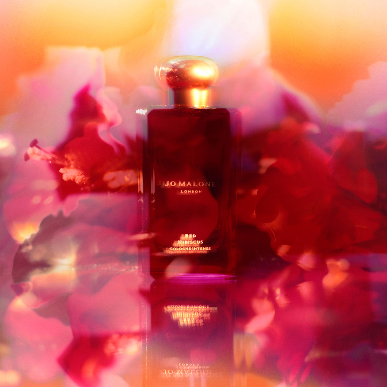 Jo Malone London Red Hibiscus Cologne Intense – Jo Malone London
