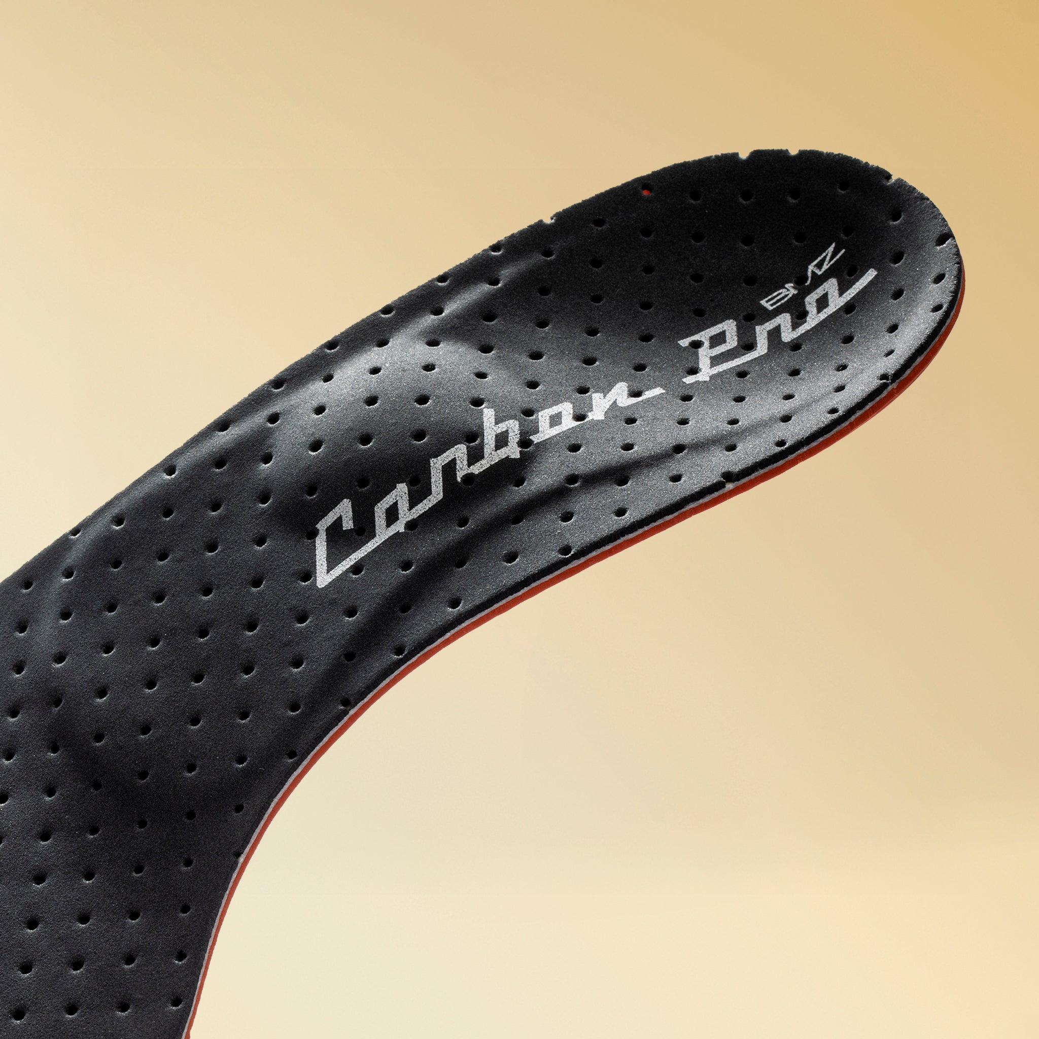 カーボンプロスノー50 C-6