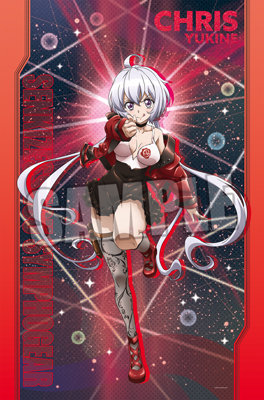 戦姫絶唱シンフォギア タオルケット「雪音 クリス」：【公式