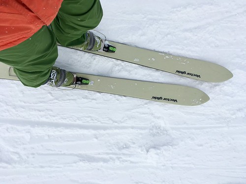 Vector Glide Aventura Soft-flex 185: 検索したらただ乗りだった件