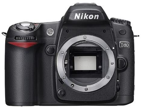ニコン(Nikon) D80 ボディの買取価格｜ナニワグループオンライン