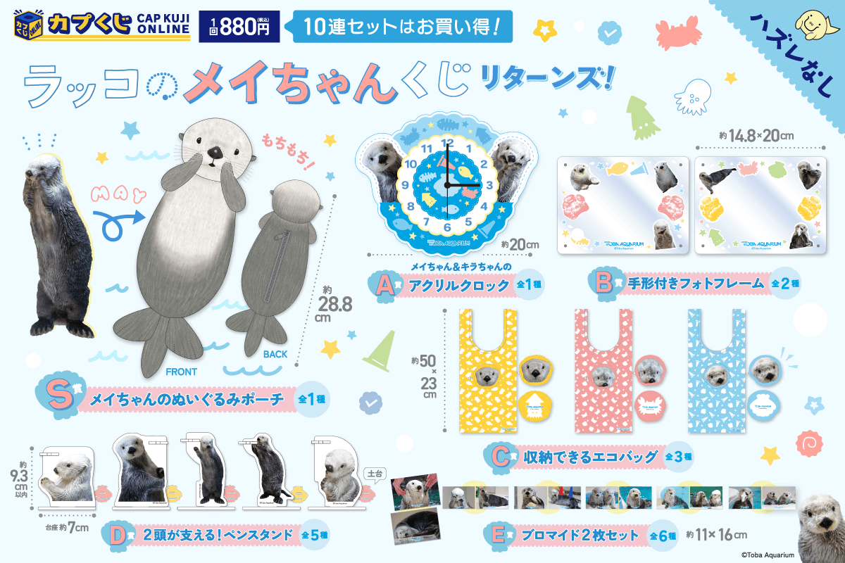 カプくじ×鳥羽水族館 ラッコのメイちゃんくじ リターンズ！ | カプくじ
