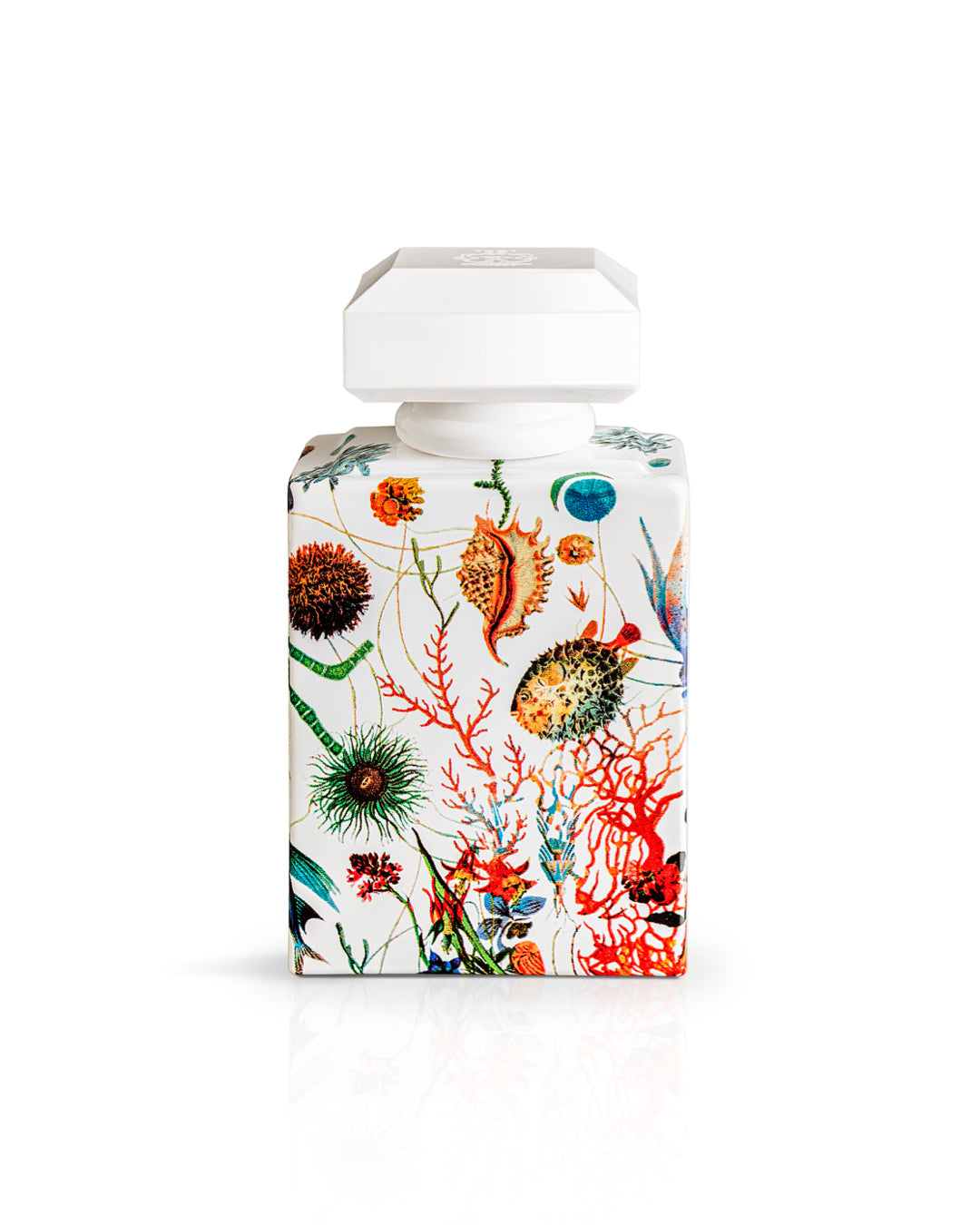 CARTHUSIA〈カルトゥージア〉 アマーレ オードパルファム 50ml