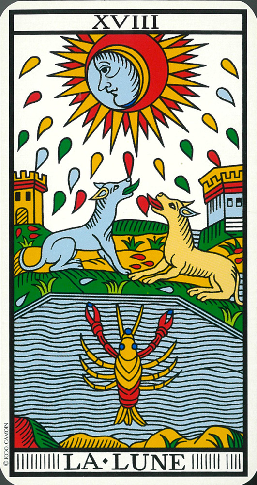 タロット入門セット☆『カモワン・タロット』＋『 初めてでもよく