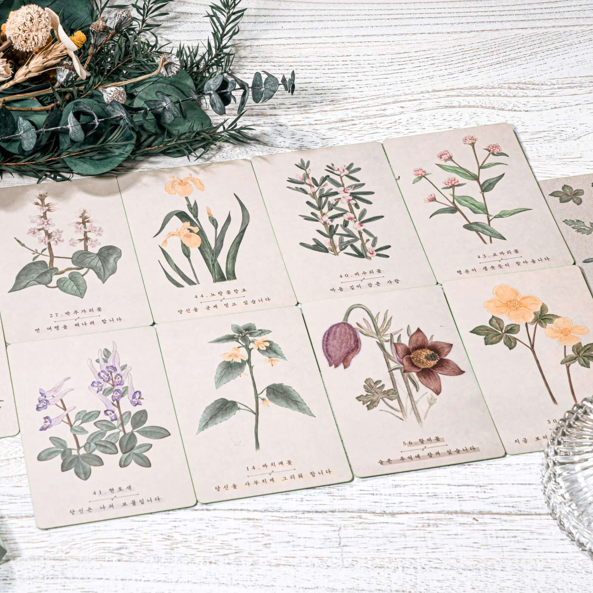 野生花オラクルカード〈新装版〉（2025年5月発売） | 日本のオラクル