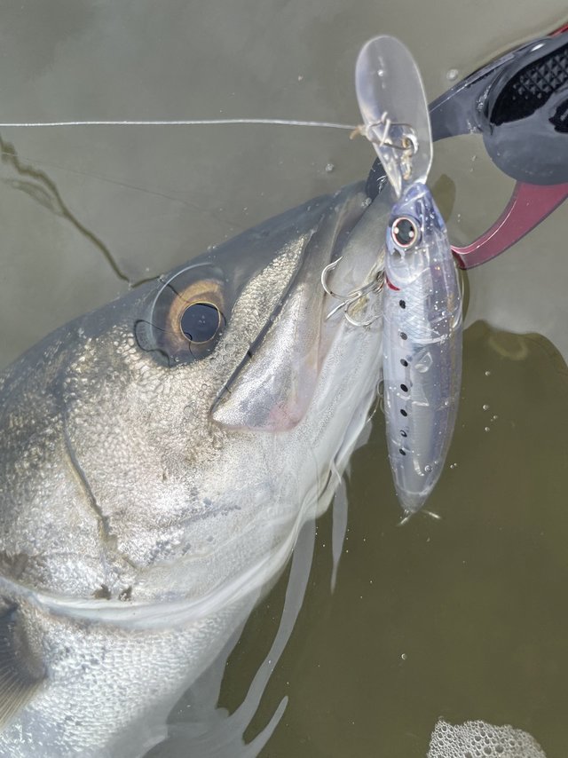 ダイワ ラブラックス AGS 100M・N 2021モデル (スピニング2ピース