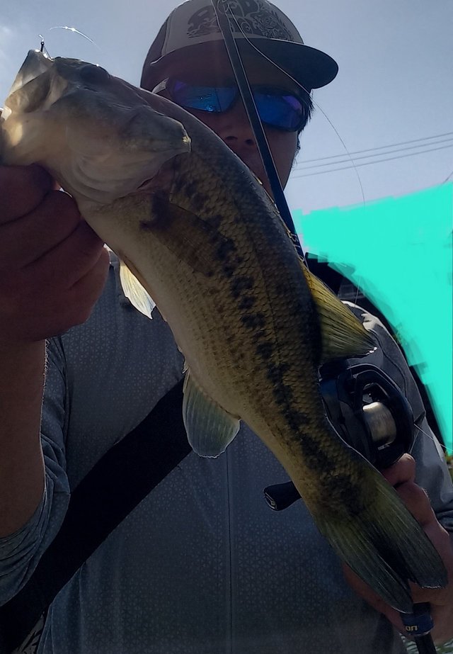 ダイワ ブレイゾン C64L-2・BF 2021モデル (ベイト2ピース)【即日発送