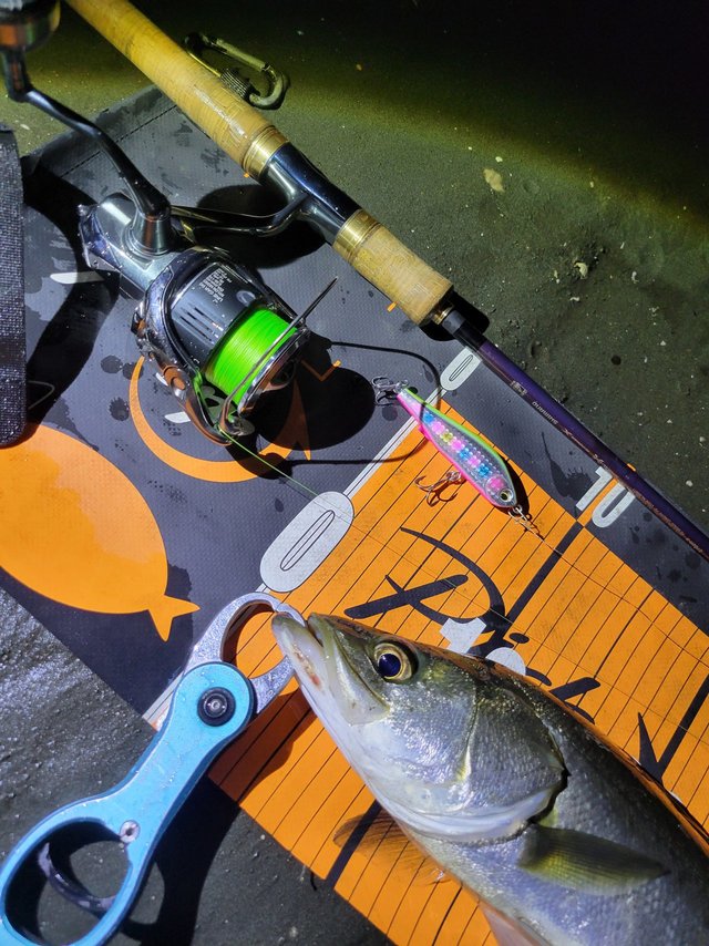 シマノ 23ワールドシャウラリミテッド 2702R-3 (スピニング 3ピース