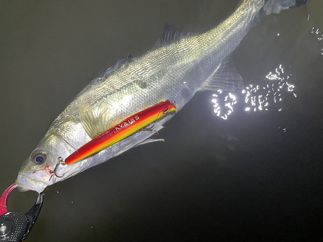 ダイワ ラブラックス AGS 100M・N 2021モデル (スピニング2ピース