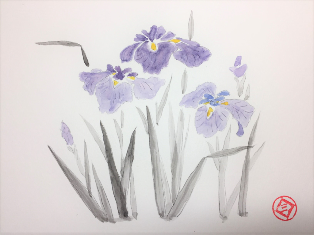 菖蒲（あやめ）を描いてみた ～水彩画15作目～ - セカンドライフを