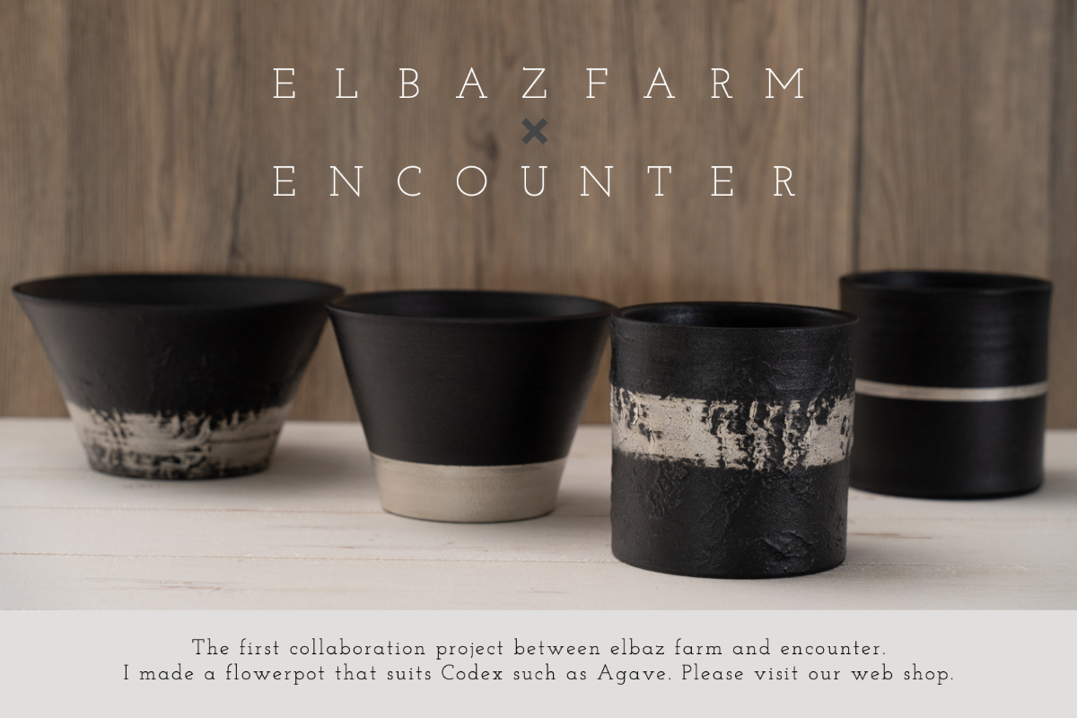 黒磁/銀彩 植木鉢」 - 44歳からの陶芸家