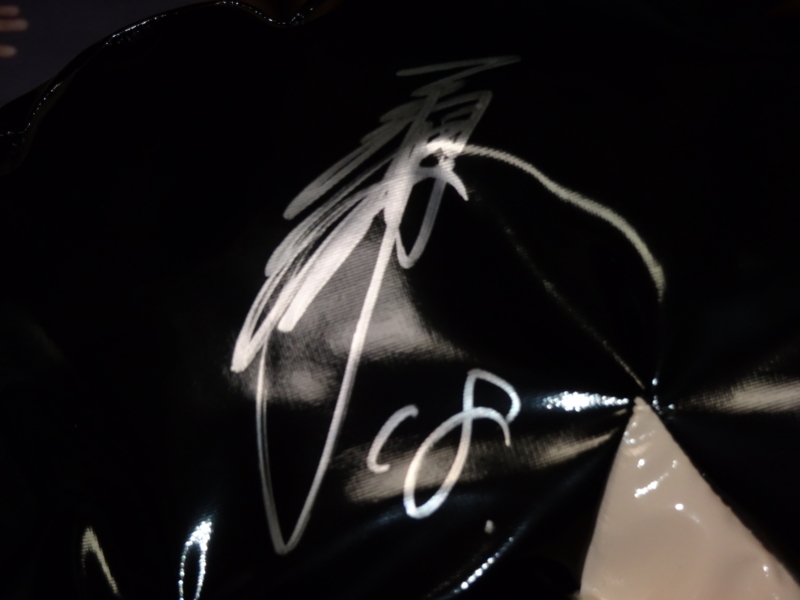 引退！三浦大輔投手直筆サイン入りリーゼントかつら！珍品！ - 世田谷