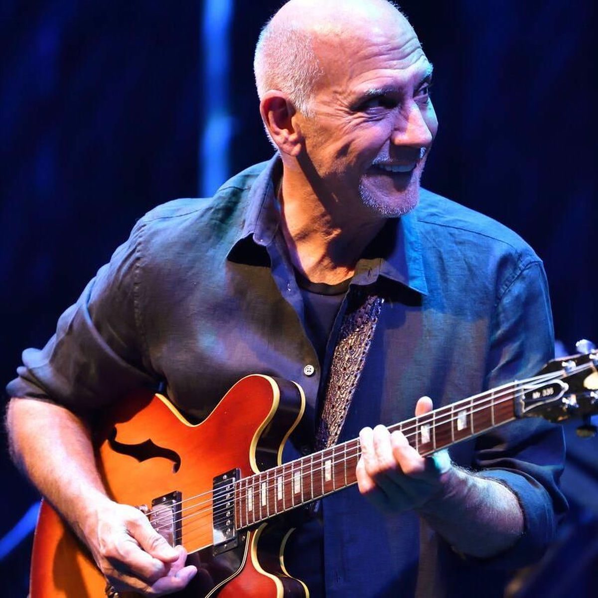 Larry Carlton: albums, songs, concerts | Deezer