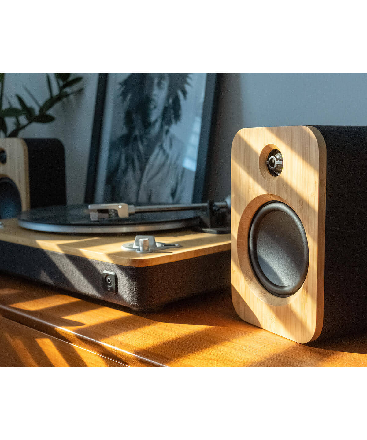 BEAMS RECORDS（ビームス レコーズ）House of Marley / Get Together