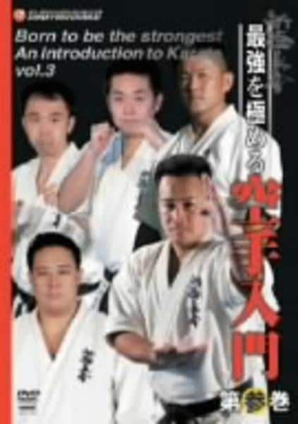DVD「新極真会 最強を極める空手入門 第参巻」作品詳細 - GEO Online