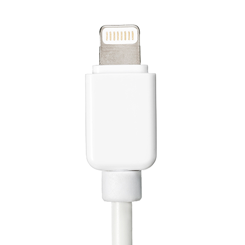 iPad5 （Air）・iPad4、iPad mini2 ライトニング充電器（Lightning AC