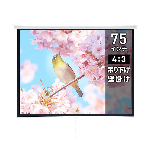 プロジェクタースクリーン （75インチ・吊り下げ式・壁掛け・天井
