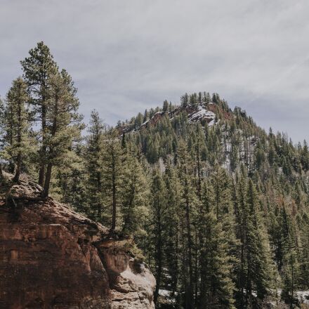 Canon EOS 5D Mark III + Canon EF 40mm F2.8 STM sample photos