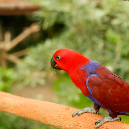 Canon EOS 6D + Canon EF 50mm F1.8 STM sample photos - ExploreCams