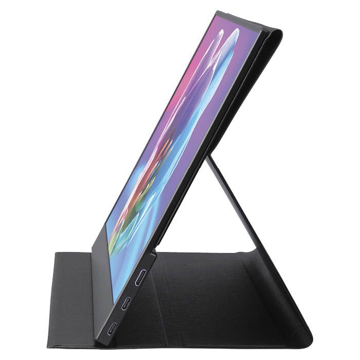 アイリスオーヤマ ポータブルモニター ILD-A16262KS-Bの通販｜その他