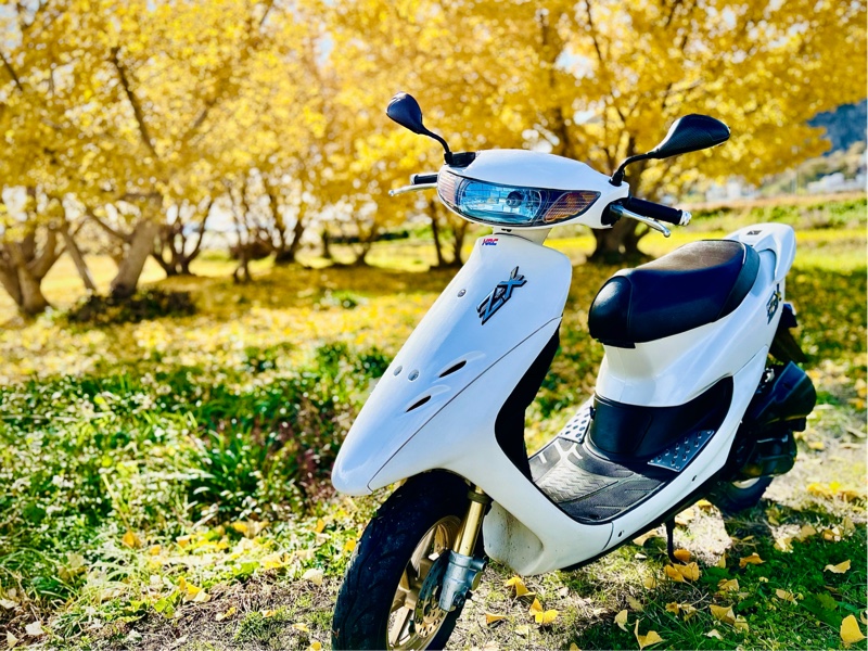 ライブディオZX、失敗する。｜田なっくすのブログ｜田なっくすのページ